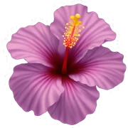 hibiscus flower sticker