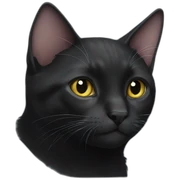 black cat white spot chest sticker