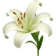 lily flower sticker