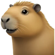 Capybara  sticker