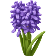 Hyacinth sticker