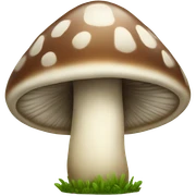 Mushroom  sticker