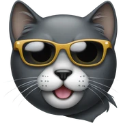 Cat with sunglasses sticker