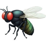 Fly sticker
