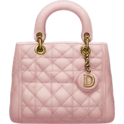 dior bag sticker