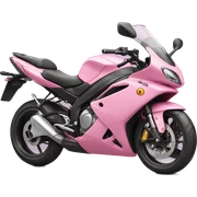 Pink motorbike sticker