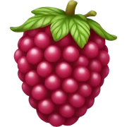 raspberry sticker