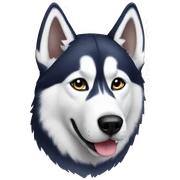 Husky sticker