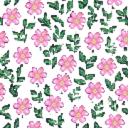 pastel pink flower sticker