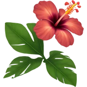 Hibiscos flower sticker