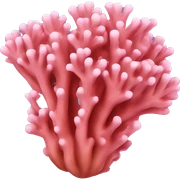 Coral sticker