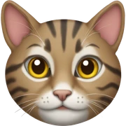 tabby cat sticker