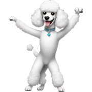 Poodle dancing sticker
