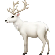 White deer  sticker