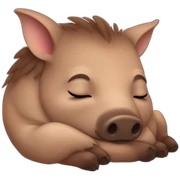 Baby boar sleeping sticker