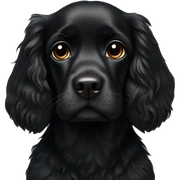 Small completely black spaniel with black fur on his whole face and white fur only on his chest sticker