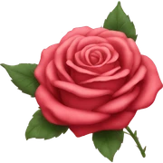 Roses sticker