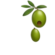 olive sticker