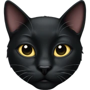 Black cat sticker