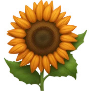 Orange sunflower  sticker