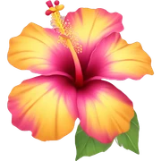yellow and pink hibiscus flower sticker
