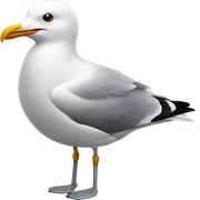 seagull sticker