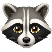 Raccoon sticker