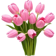 bouquet of pink tulips sticker