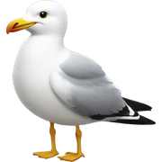 Seagull  sticker