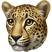 leopard sticker