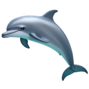 dolphin sticker
