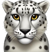 Angry snow leopard with white eyes sticker