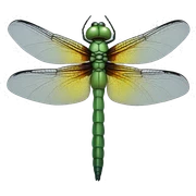 Dragonfly sticker