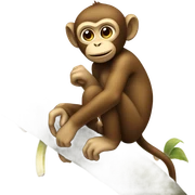 Monkey sticker