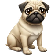 Pug  sticker