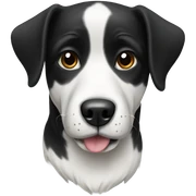 Black and white dog  sticker