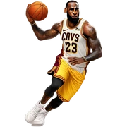 LeBron james sticker