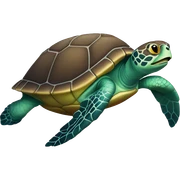 Sea turtle sticker