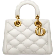 dior bag sticker
