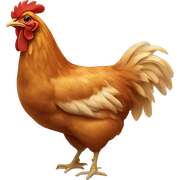 Chicken  sticker