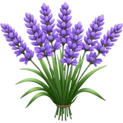 Lavender sticker
