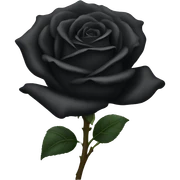 Black Rose sticker
