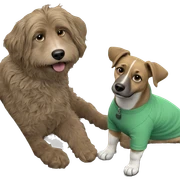 dog on couch in green shirt sticker