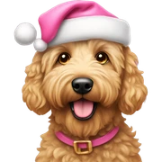 Golden doodle wearing pink Santa hat sticker