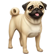 Pug sticker