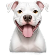 white pitbull sticker