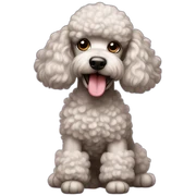 Poodle playing sticker