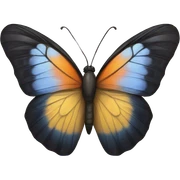 butterfly  sticker