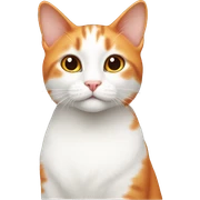White and orange cat  sticker