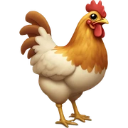 chicken sticker